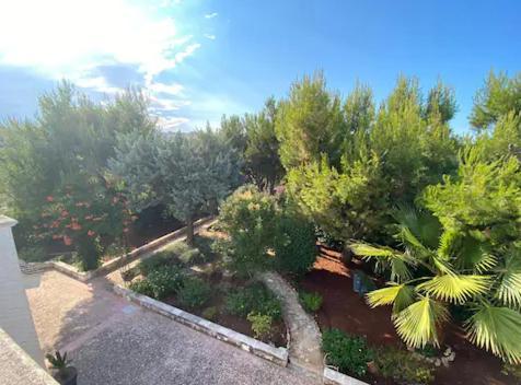 Villa Adelaide Ceglie Messapica Luaran gambar